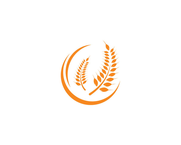 Mezőgazdaság búza logó sablon vektor ikon  - Vektor, kép