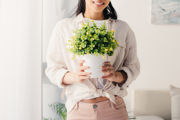 cropped shot of young latin woman holding flowerpot with green plant at home - Foto, Bild