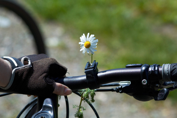 kadın bisiklet üzerinde çiçek - Fotoğraf, Görsel