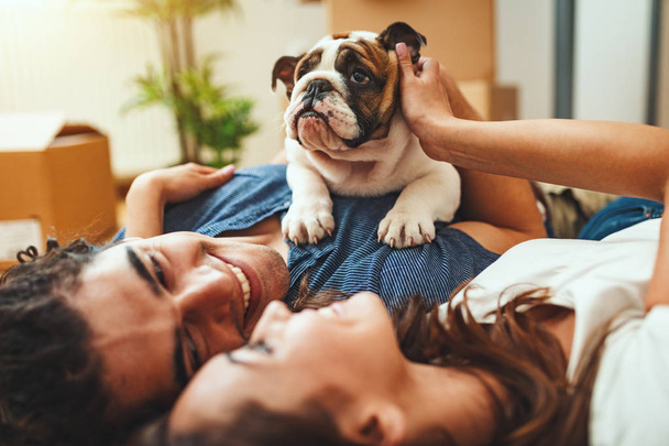 young happy couple playing little puppy in new home - Photo, Image