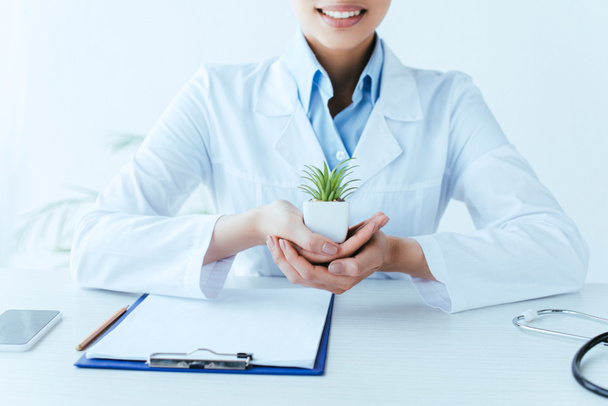 vista parcial del médico latino sonriente sosteniendo planta en maceta mientras está sentado en el lugar de trabajo en la clínica
 - Foto, Imagen