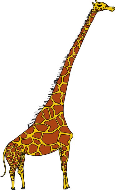 Cartoon Giraffe - Vector, imagen