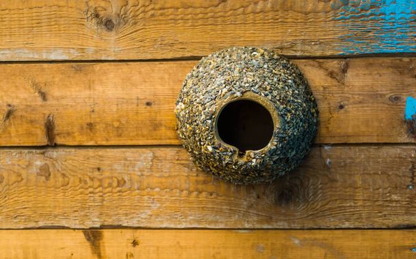 cylinder shaped bird house decorated with pebble stones, bird home hanging on a wooden wall - Photo, Image