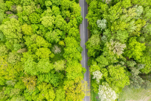 Luftaufnahme einer langen Straße, die durch den Wald führt - Foto, Bild