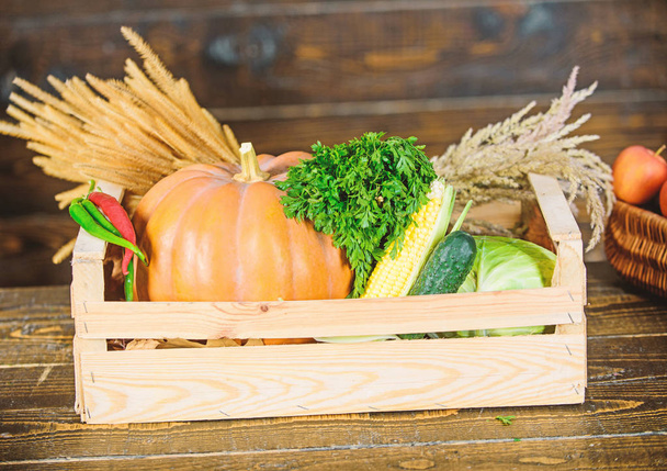 新鮮な有機野菜ガーデン ボックスです。秋の収穫のコンセプトです。秋の収穫野菜を作物します。地元産自然食品。ファーマーズ ・ マーケット。自家製の野菜。熟したローカル ファームの野菜 - 写真・画像