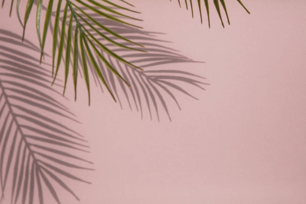Tropical palm tree leaf shadow on a pastel pink background. Summertime layout - Fotoğraf, Görsel