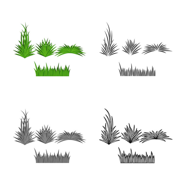 Vektor-Design von Gras und Busch-Symbol. Sammlung von Gras und Garten Vektor-Symbol für Aktien. - Vektor, Bild