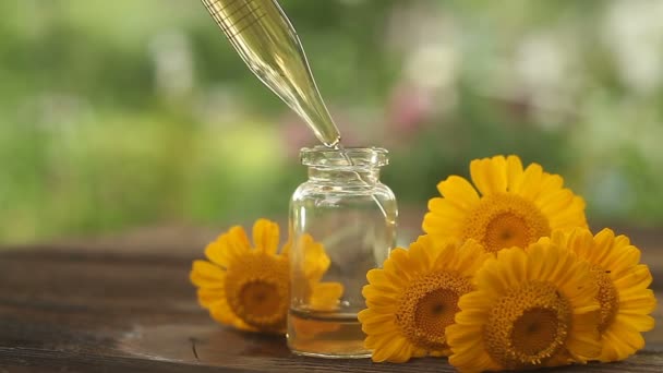 Esencia de flores de Agrimonia en la mesa en hermosa botella de vidrio
 - Imágenes, Vídeo