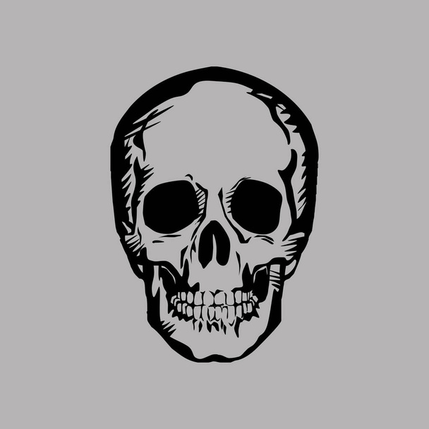 human skull on gray background. vector drawing for illustrations - Vettoriali, immagini
