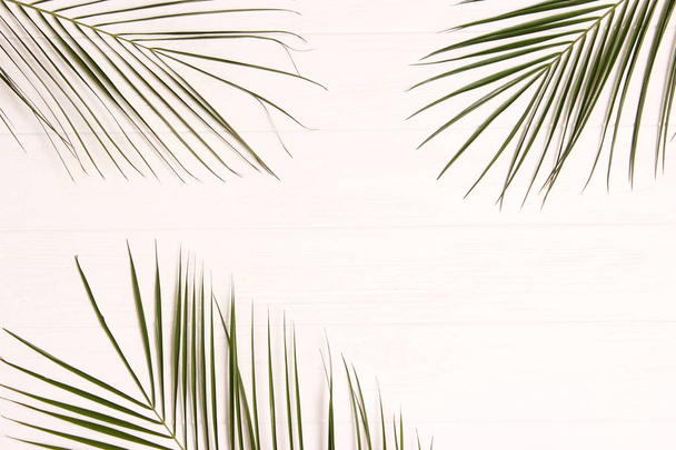 palm leaves on a wooden background with free space for text. a draft for a design. minimalism, creativity. flatlay - Valokuva, kuva