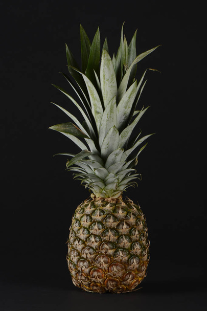 One pineapple, brown color - Фото, зображення
