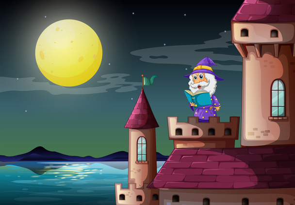 A castle port with a wizard reading a book - Vector, Image