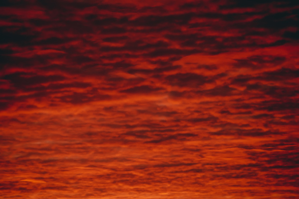 Вогненна червона кров вампіра світанку. Дивовижний теплий драматичний вогонь хмарне небо. Яскраве оранжеве сонячне світло. Атмосферний фон сходу сонця в похмуру погоду. Важка хмарність. Попередження про бурі. Копіювати простір
. - Фото, зображення