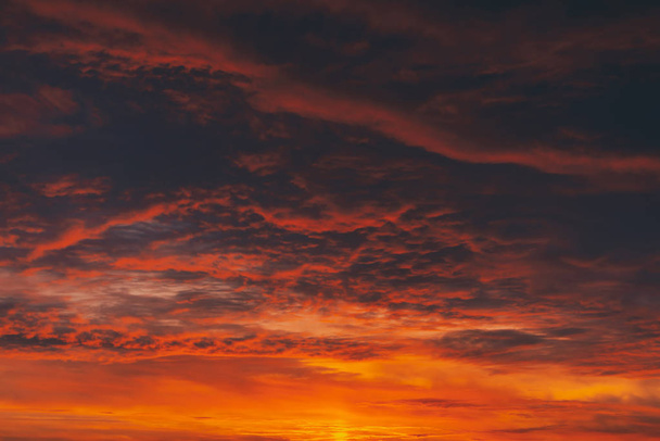 燃えるような赤い血の吸血鬼の夜明け。驚くべき暖かい劇的な火の曇った空。鮮やかなオレンジ色の太陽の光。曇りの天候の日の出の大気の背景。硬い曇り。嵐雲の警告。スペースのコピー. - 写真・画像