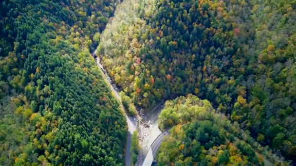 Mohawk Trail winding road in autumn aerial shot, Massachusetts, USA - Footage, Video