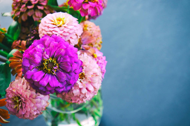 Zinnia Blume blüht in der Vase für Arrangement mit Kopierraum. - Foto, Bild