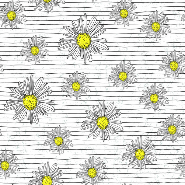 Chamomile seamless pattern with hand drawn lines. Vector illustr - Διάνυσμα, εικόνα