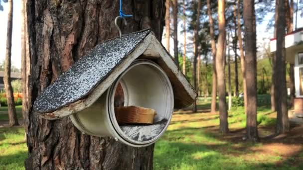Casa degli uccelli su un albero nel parco. Uccello alimentatore pende su un albero
. - Filmati, video