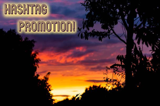 Szövegírás Hashtag Promotion. Üzleti koncepció több bemutató fedezheti fel, és vegyenek részt a tartalmat Gyönyörű naplemente napfelkelte révén friss erdő természet fa. Napfény reggel.. - Fotó, kép