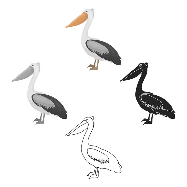 Pelican icon in cartoon,black style isolated on white background. Bird symbol stock vector illustration. - Vettoriali, immagini