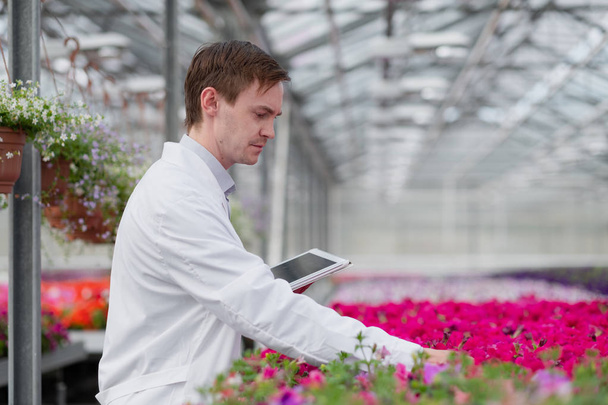 A young man in a white coat, a scientist biologist or agronomist examines and analyzes the flowers and green plants in the greenhouse. - Фото, зображення
