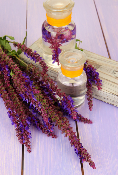 サルビアの花紫の木製の背景上に薬瓶 - Fotografie, Obrázek