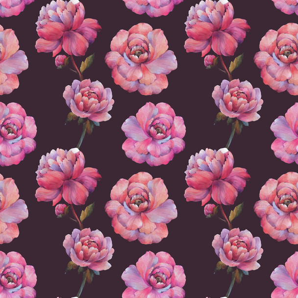 Seamless watercolor flowers pattern. Watercolor peony flowers. Flowers for design. Ornament flowers. Seamless floral pattern. Purple peony floral botanical flower. - Φωτογραφία, εικόνα