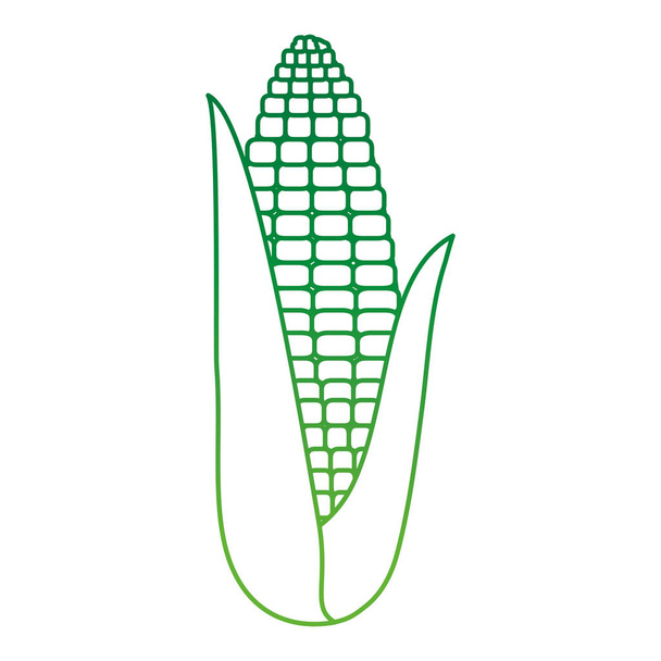 čerstvá kukuřice na vegetariánské potraviny - Vektor, obrázek
