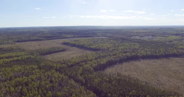 Οι προγραμματιστές κόβουν περιοχές στο δάσος για φθηνή στέγαση στα περίχωρα της πόλης - Πλάνα, βίντεο