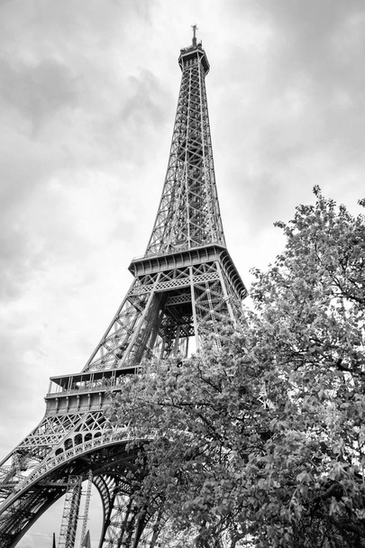 Näkymä Pariisin Eiffel-tornin pohjasta pilvisenä päivänä, Ranska, mustavalkoisina
 - Valokuva, kuva
