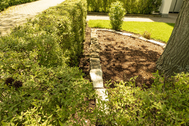 Gartengestaltung mit schöner Hecke und kleiner Mauer mit Garten und Baum - Foto, Bild