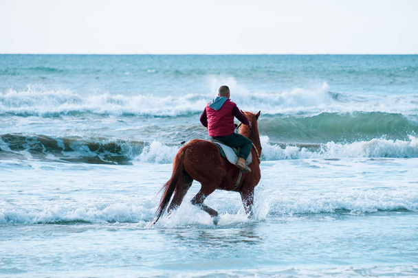 Человек, скачущий на коричневой скачущей лошади в морских водах Айя Эйрини
 - Фото, изображение