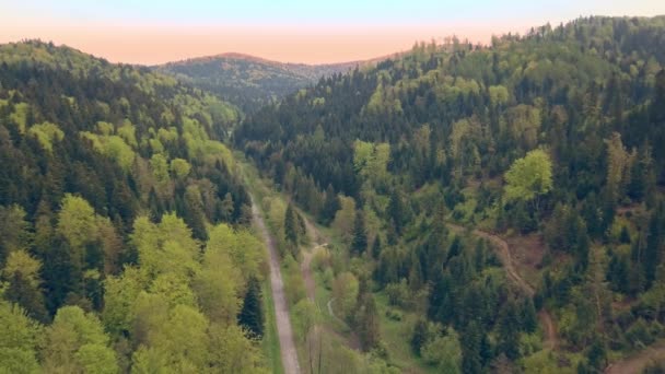 Όμορφη κεραία βολή από καταπράσινους λόφους και κοιλάδες. Φύση της δει από ψηλά τα βουνά Bieszczady. - Πλάνα, βίντεο
