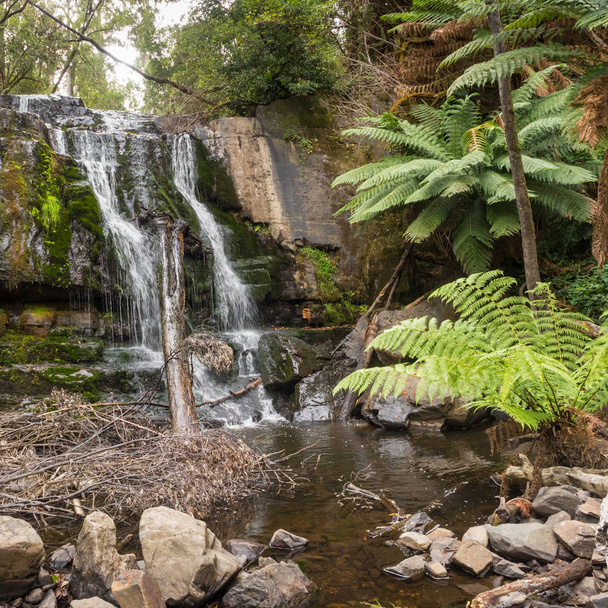 Lower Lilydale Falls - Photo, Image