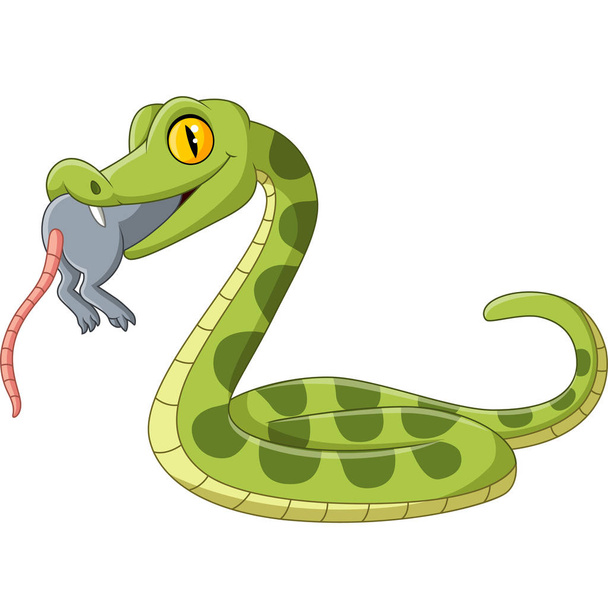 Ilustración vectorial de la serpiente verde de dibujos animados comiendo un ratón
 - Vector, imagen