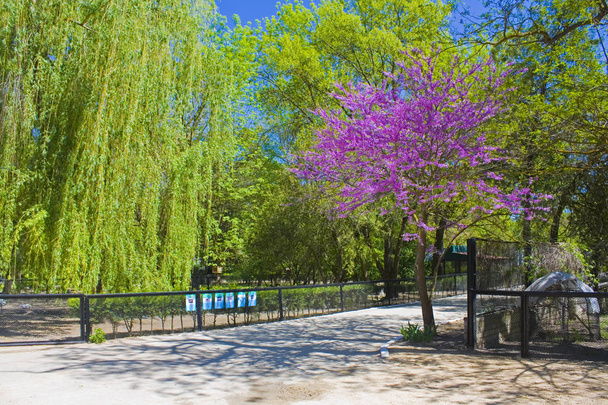 Askania-Nova, Khersonin alue, Ukraina - 1. toukokuuta 2018: Kansallispuiston eläintarha Askania-Nova Ukrainassa
 - Valokuva, kuva