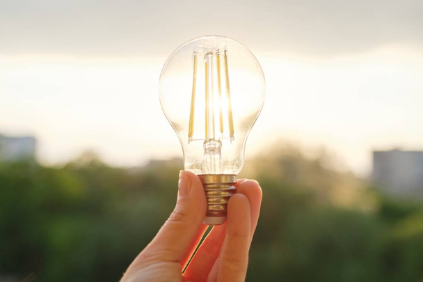 Filament led lightbulbs, hand holding lamp, evening sunset sky background - Foto, immagini