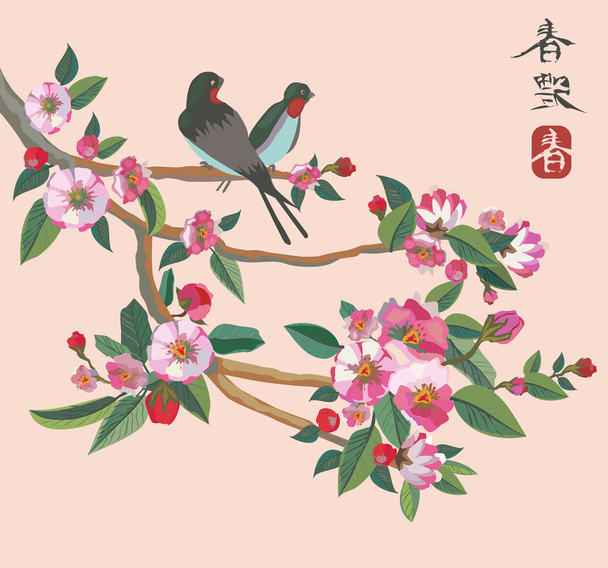 Sakura . postcard . - Вектор,изображение