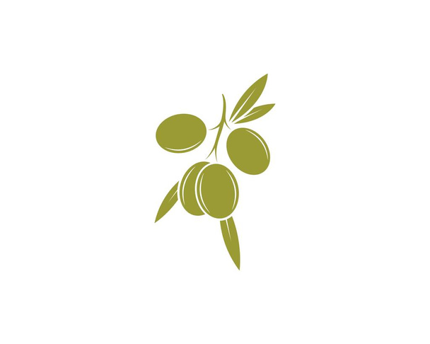modelo de logotipo de aceite de oliva vector
 - Vector, imagen