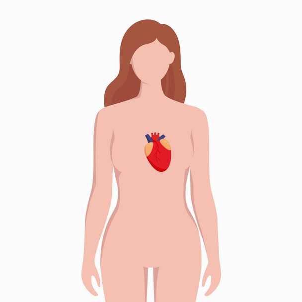 Сердце на женском теле силуэт векторные медицинские иллюстрации изолированы на белом фоне. Внутренний орган человека помещен в бади инфографические элементы в плоском дизайне
. - Вектор,изображение