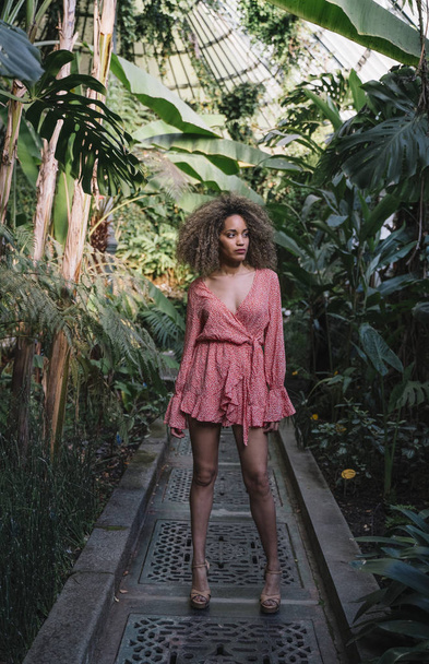 Retrato de uma jovem mulher bonita arredondada por plantas em uma floresta tropical
 - Foto, Imagem