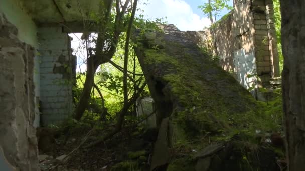 Unkraut wächst in Ruinen eines verlassenen Backsteinhauses - Filmmaterial, Video