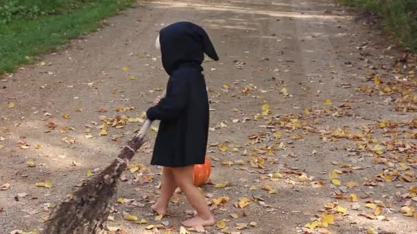 dziecko w czarnym Czarnoksiężnik lub garnitur czarownica na Halloween wymiata przez miotu jesiennych liści wokół świeżej dyni, imbir kociak skoki na miotł i zapobiega pracy - Materiał filmowy, wideo