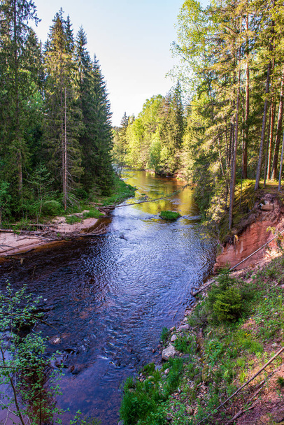 scenic river view landscape of forest rocky stream with trees on - Foto, imagen