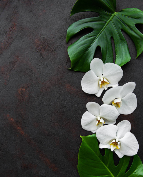 Tropikal yaprakları Monstera ve beyaz orkide çiçekler - Fotoğraf, Görsel