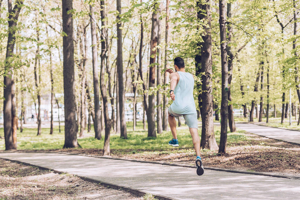 vue arrière du jeune homme en tenue de sport faisant de l'exercice dans un parc vert ensoleillé
 - Photo, image