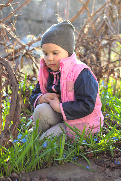 trauriges, beleidigtes, warm gekleidetes Mädchen mit Mütze sitzt auf Knien inmitten der Blüten blauer Schneeglöckchen im Weinberg - Foto, Bild