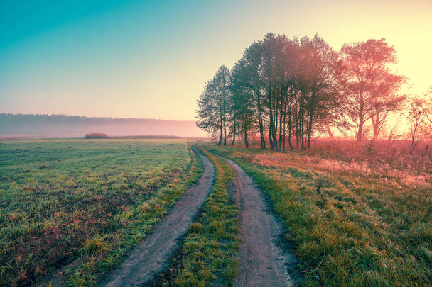Misty autumn rural landscape at sunrise. Dirt country road in the field. Mystical morning - Foto, immagini