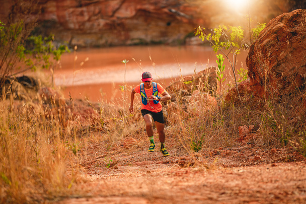 male runner of trail , athlete in sportswear running in mountains - Photo, Image
