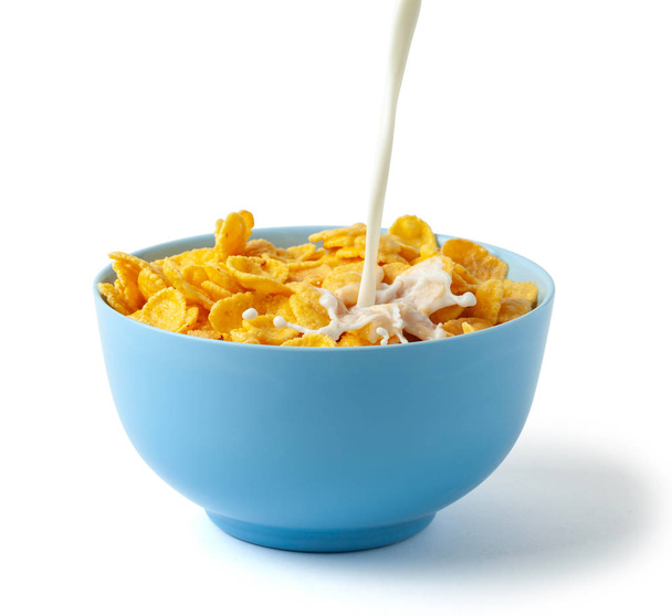 Cornflakes desayuno seco con leche. Corriente de leche con queso y salpicadura vierte en plato azul con cereales. Aislado sobre fondo blanco
. - Foto, Imagen